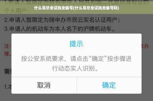 什么是毕业证执业编号(什么是毕业证执业编号码)