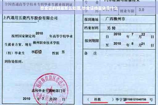 毕业证的档案怎么处理,毕业证档案袋是什么