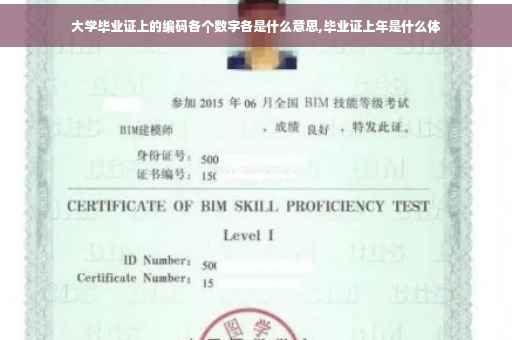 大学毕业证上的编码各个数字各是什么意思,毕业证上年是什么体