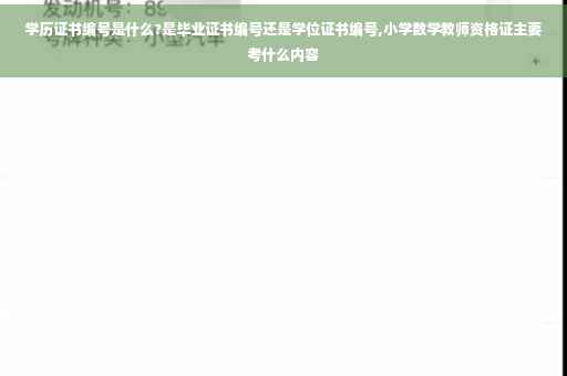 学历证书编号是什么?是毕业证书编号还是学位证书编号,小学数学教师资格证主要考什么内容