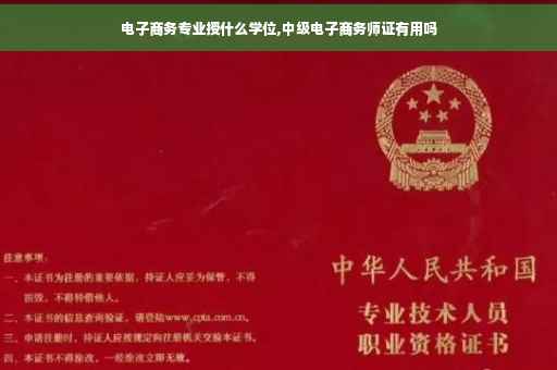 电子商务专业授什么学位,中级电子商务师证有用吗