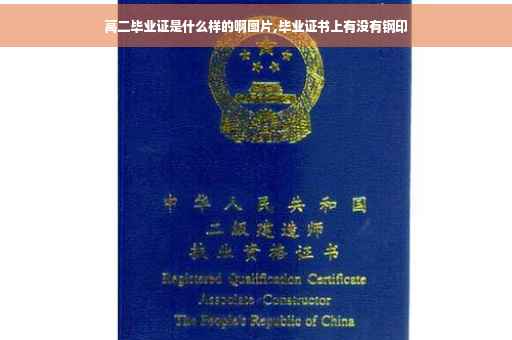 高二毕业证是什么样的啊图片,毕业证书上有没有钢印