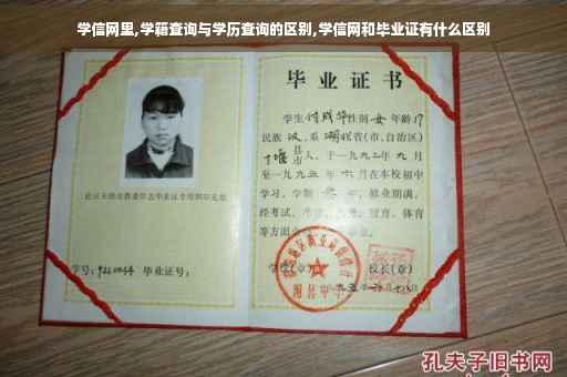 学信网里,学籍查询与学历查询的区别,学信网和毕业证有什么区别