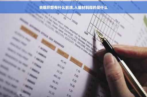去组织部有什么前途,入编材料指的是什么