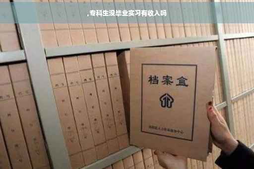 ,专科生没毕业实习有收入吗