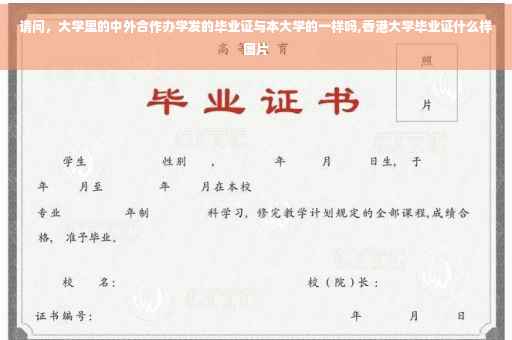 请问，大学里的中外合作办学发的毕业证与本大学的一样吗,香港大学毕业证什么样图片