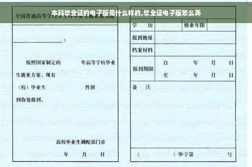 本科毕业证的电子版是什么样的,毕业证电子版怎么弄