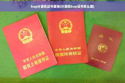 bap计算机证书查询(计算机bap证书怎么查)