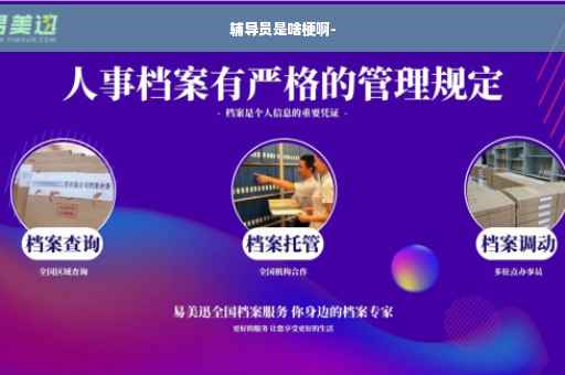 辅导员是啥梗啊-