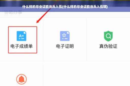 什么样的毕业证能当兵入伍(什么样的毕业证能当兵入伍呢)