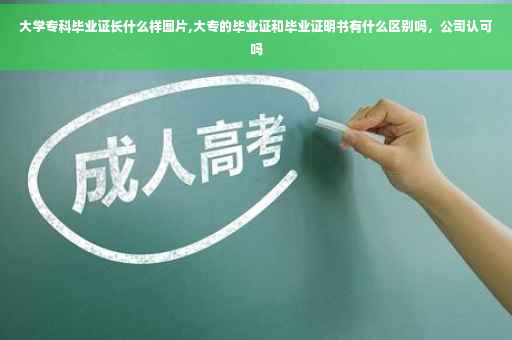 大学专科毕业证长什么样图片,大专的毕业证和毕业证明书有什么区别吗，公司认可吗