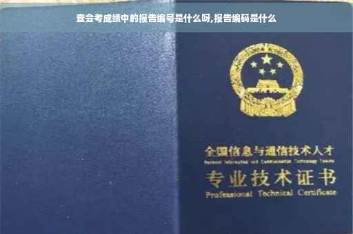 查会考成绩中的报告编号是什么呀,报告编码是什么