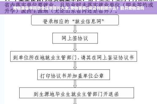 宠物美容学院毕业证书图片大全,宠物美容c级证书能做什么？能开宠物店吗
