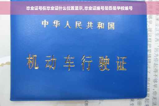 毕业证号在毕业证什么位置显示,毕业证编号是否是学校编号