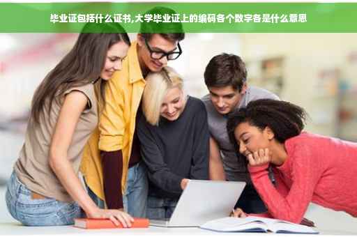 毕业证包括什么证书,大学毕业证上的编码各个数字各是什么意思