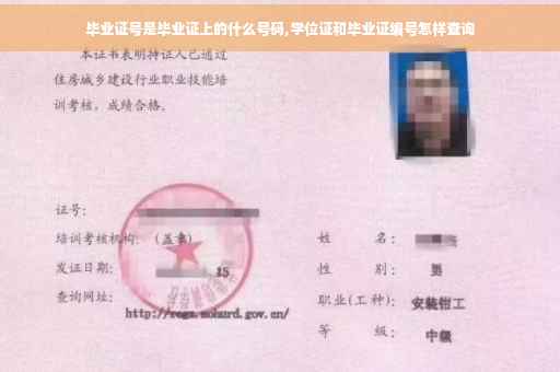 毕业证号是毕业证上的什么号码,学位证和毕业证编号怎样查询