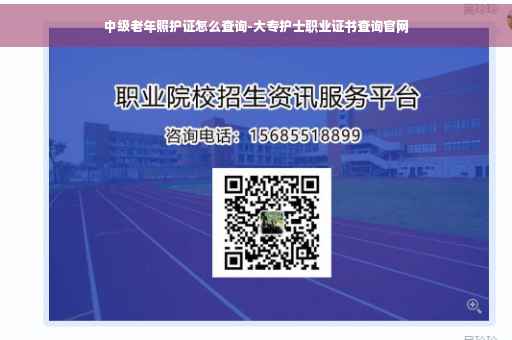 中级老年照护证怎么查询-大专护士职业证书查询官网