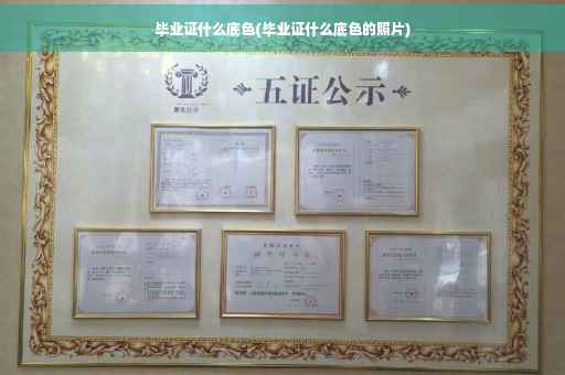 毕业证什么底色(毕业证什么底色的照片)