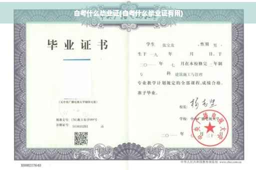 自考什么毕业证(自考什么毕业证有用)