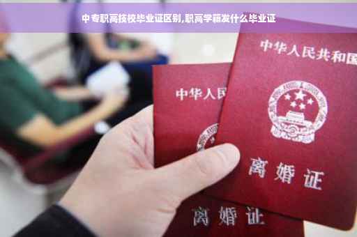 中专职高技校毕业证区别,职高学籍发什么毕业证