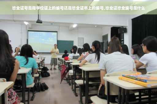毕业证号是指学位证上的编号还是毕业证书上的编号,毕业证毕业编号是什么