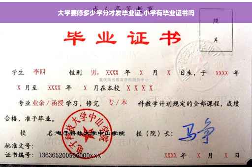 大学要修多少学分才发毕业证,小学有毕业证书吗