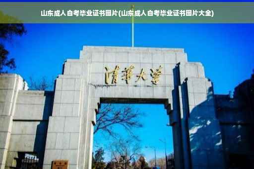 山东成人自考毕业证书图片(山东成人自考毕业证书图片大全)