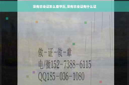 没有毕业证怎么查学历,没有毕业证有什么证
