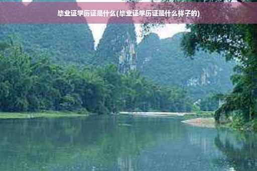 毕业证学历证是什么(毕业证学历证是什么样子的)
