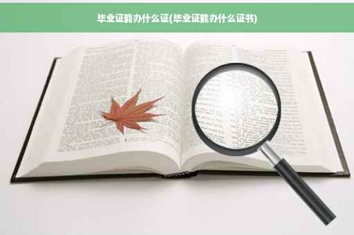 毕业证能办什么证(毕业证能办什么证书)