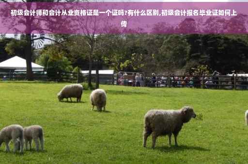 初级会计师和会计从业资格证是一个证吗?有什么区别,初级会计报名毕业证如何上传