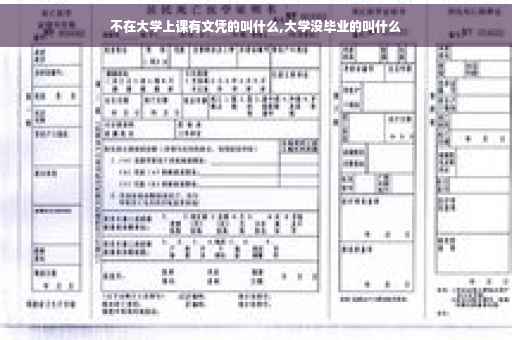 不在大学上课有文凭的叫什么,大学没毕业的叫什么