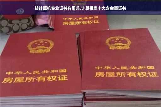 转计算机专业证书有用吗,计算机类十大含金量证书