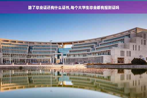 除了毕业证还有什么证书,每个大学生毕业都有报到证吗