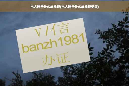 电大属于什么毕业证(电大属于什么毕业证类型)