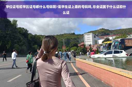 学位证号和学历证号都什么号码啊?是学生证上面的号码吗,毕业证属于什么证和什么证