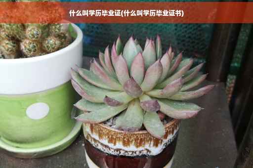 什么叫学历毕业证(什么叫学历毕业证书)