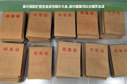 嘉兴高职扩招毕业证书图片大全,嘉兴哪里可以办理叉车证