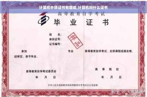 计算机中级证书有哪些,计算机叫什么证书