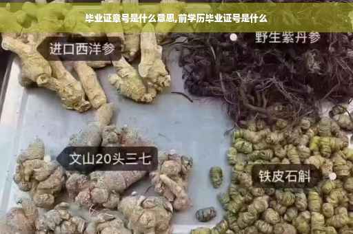 毕业证章号是什么意思,前学历毕业证号是什么