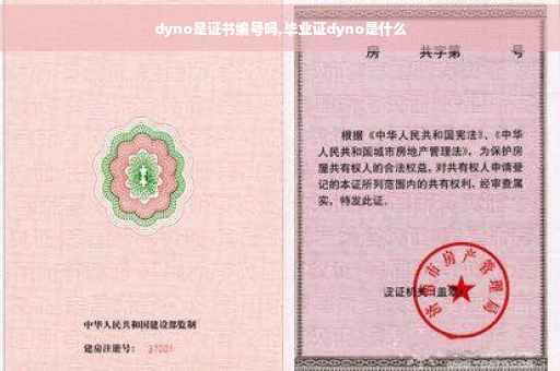 dyno是证书编号吗,毕业证dyno是什么