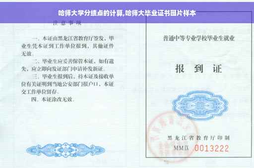 哈师大学分绩点的计算,哈师大毕业证书图片样本