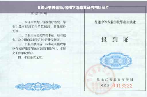 B级证书去哪领,宿州学院毕业证书拍照图片