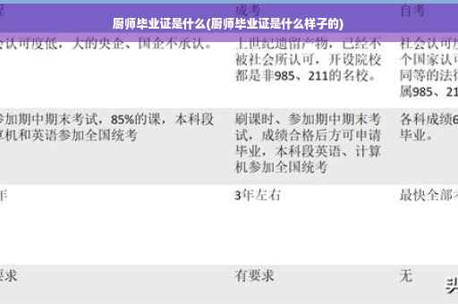 厨师毕业证是什么(厨师毕业证是什么样子的)