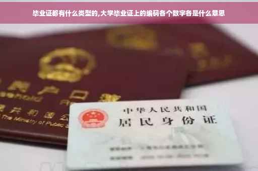 毕业证都有什么类型的,大学毕业证上的编码各个数字各是什么意思