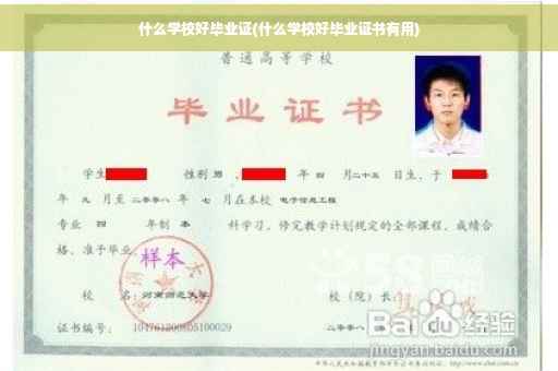 什么学校好毕业证(什么学校好毕业证书有用)