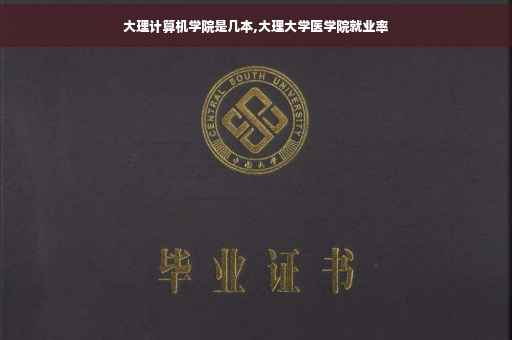 大理计算机学院是几本,大理大学医学院就业率