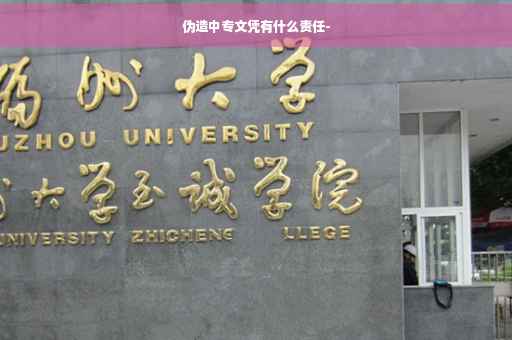 伪造中专文凭有什么责任-