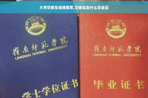 大学交换生是啥意思,交换生发什么毕业证