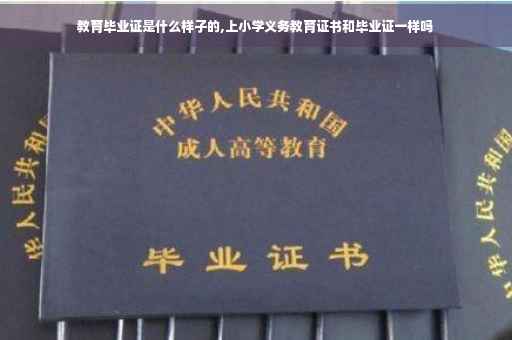 教育毕业证是什么样子的,上小学义务教育证书和毕业证一样吗